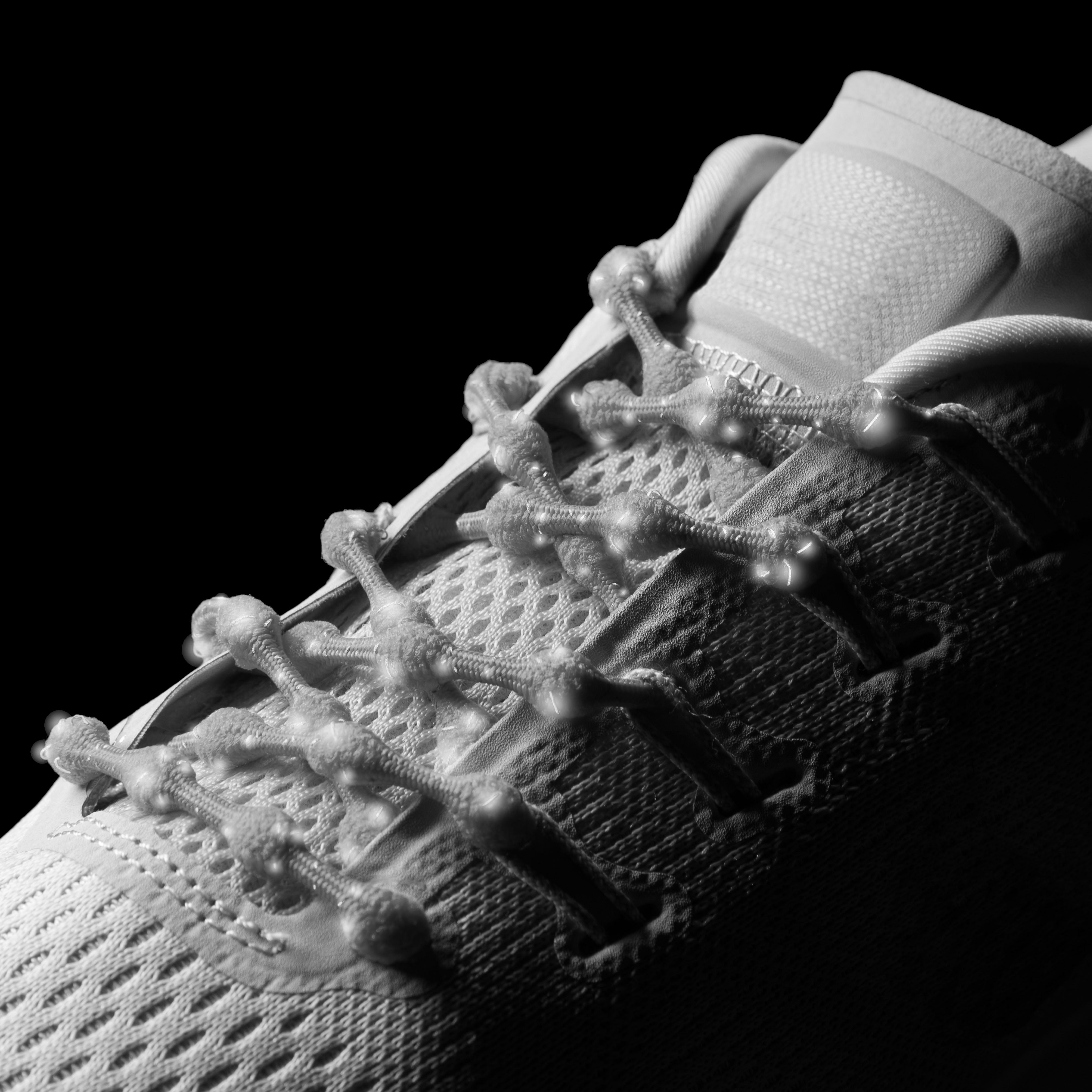 Caterpy Run - The Ultimate Elastic No Tie Shoelaces for Performance